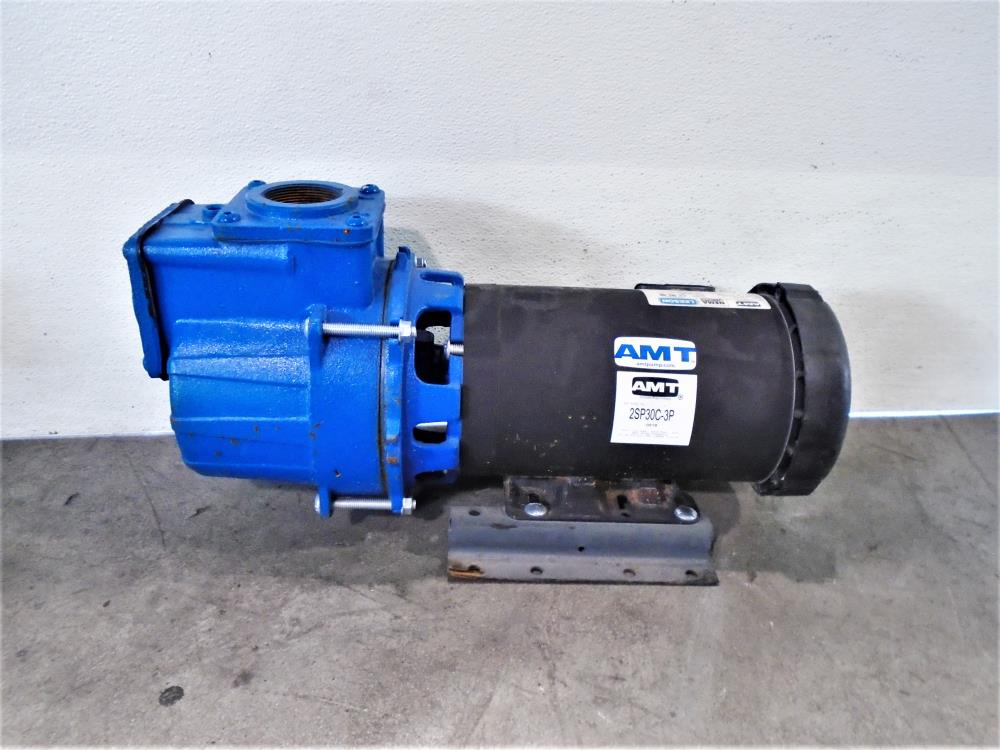 AMT 2" NPT Self Priming Pump 2SP30C-3P with Leeson 3HP Motor